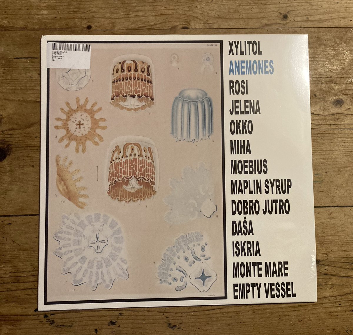 Sonic Moth (@sonicmoth) on Twitter photo Exciting delivery today, looking forward to listening to this later #Xylitol #Anemones <a href="/Planetmurecords/">Planet Mu</a> Exciting delivery today, looking forward to listening to this later #Xylitol #Anemones <a href="/Planetmurecords/">Planet Mu</a>
