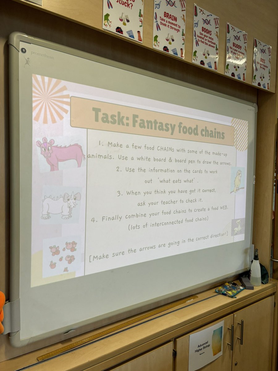 WilliamwoodHS's tweet image. In S1 Science, pupils doing the Biology rotation have been leaving about ecosystems &amp;amp; biodiversity. Today they created fantasy food chains &amp;amp; webs 🕸️🌿🦜#WWHSSCIENCE #WWHSBIOLOGY