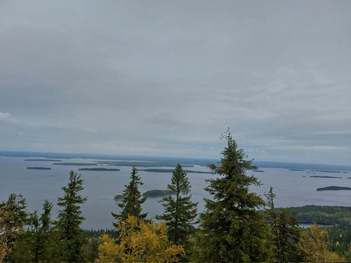 #OptiForValue group in Koli, Finnish national landscape. Getting to know each others, great Day!