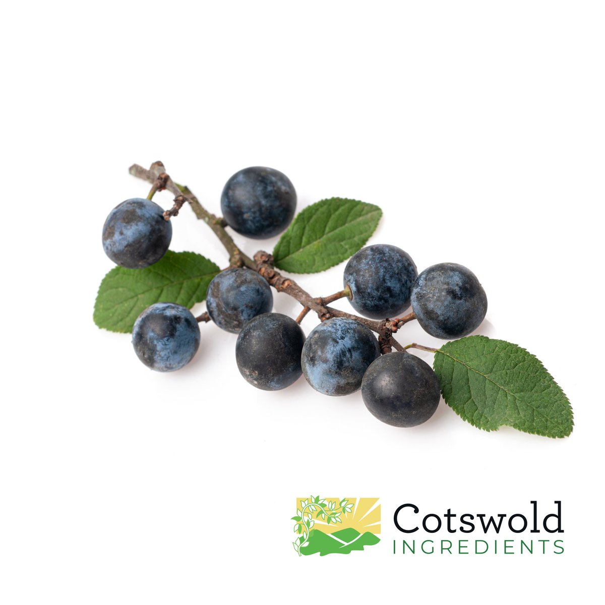 🍸 SLOE BERRIES 🍸

Sloe gin at your fingertips? We've got you covered with our premium Sloe Berries ✅

Let's make this season unforgettable with the best sloe berries on the market…

📧 Email Us: sales@cotswoldingredients.co.uk
🌐 cotswoldingredients.co.uk/?s=Sloe+Berries