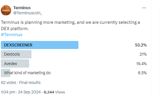 Terminuscoin_'s tweet photo. The community vote will launch a Dexscreener promotion https://t.co/gE1WRfAg3a