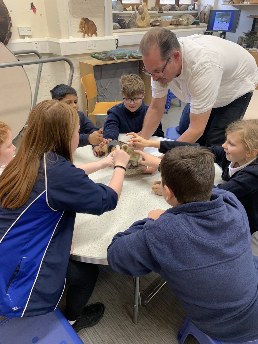 Y6 are learning more about adaptation - our science lessons are being brought to life 🥳<a href="/GBS_Beech/">Beech Class GBS Yr6</a> <a href="/GBS_Elm_Class/">Elm Class GBS Yr6</a>