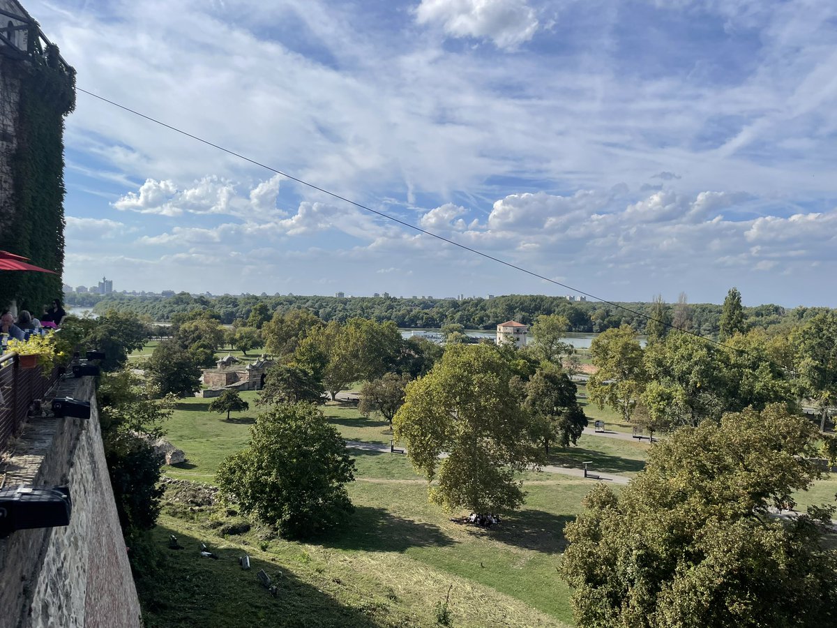 Dr. Sarah Hedtrich tweet media