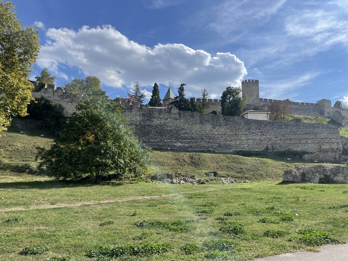 Dr. Sarah Hedtrich tweet media