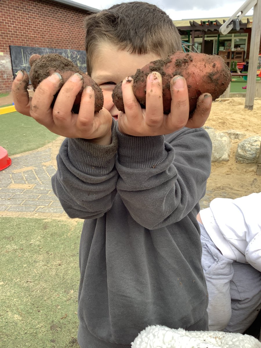 Allerton CE Primary tweet media