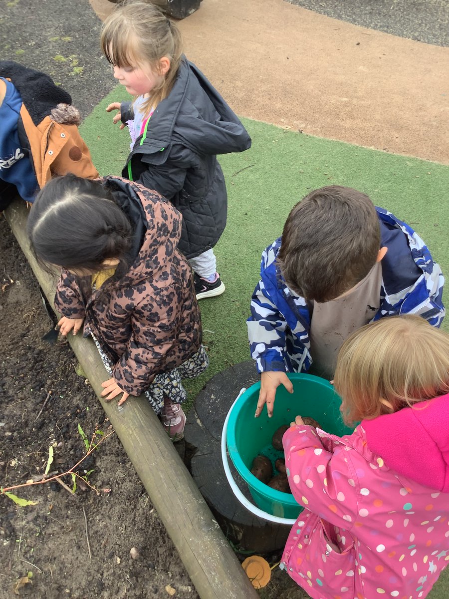 Allerton CE Primary tweet media