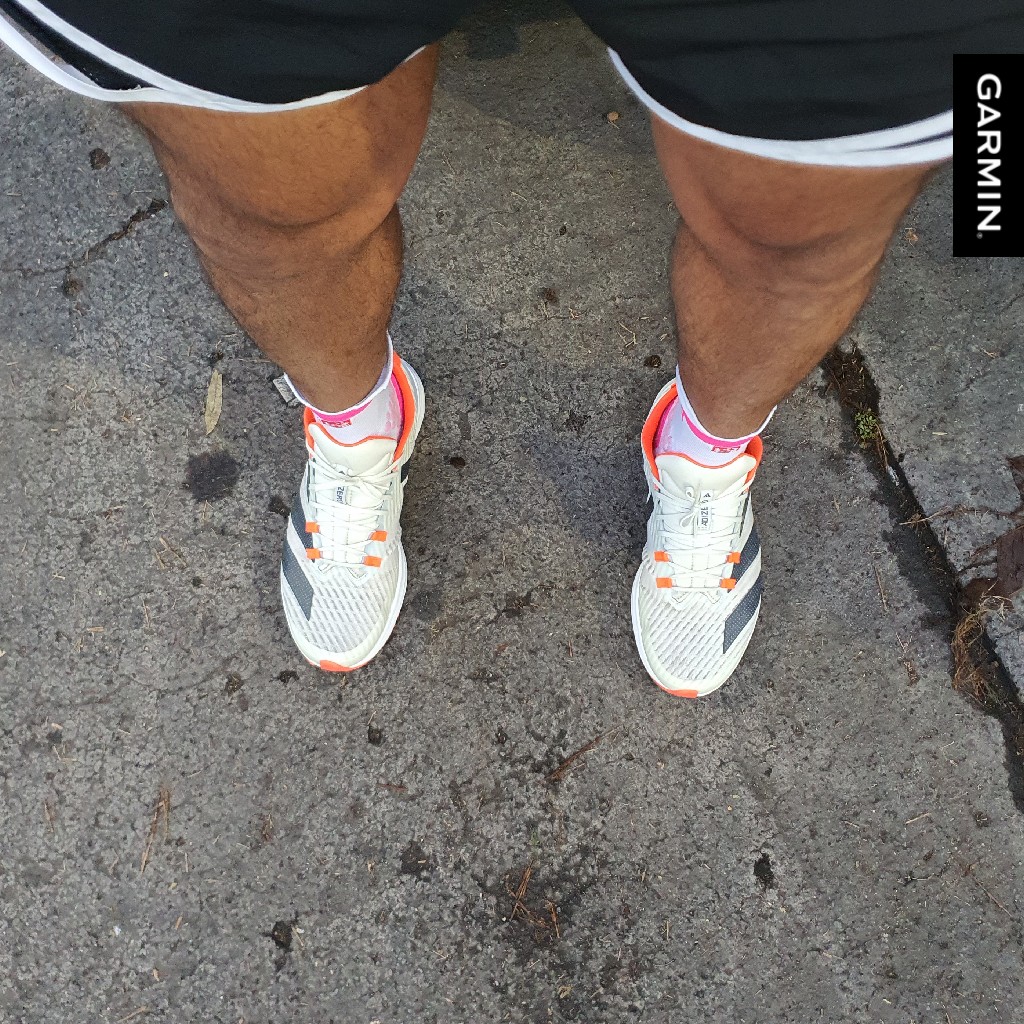 El_Dandys's tweet photo. ¿No mamen que siguen echados?
¿Ya entrenaron? 😎👊🏾💥
#garmin #beatyesterday #YoElegiCorrer #PrietoPower https://t.co/QvTYW08aJp