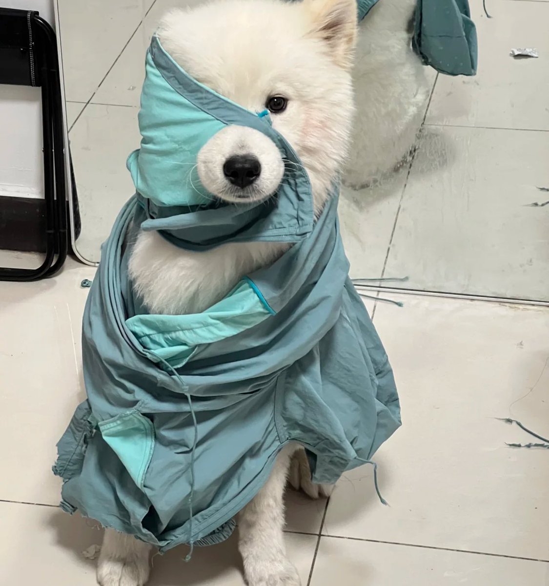 dogonboo's tweet image. คนไข้เป้นอะไรมา คับ