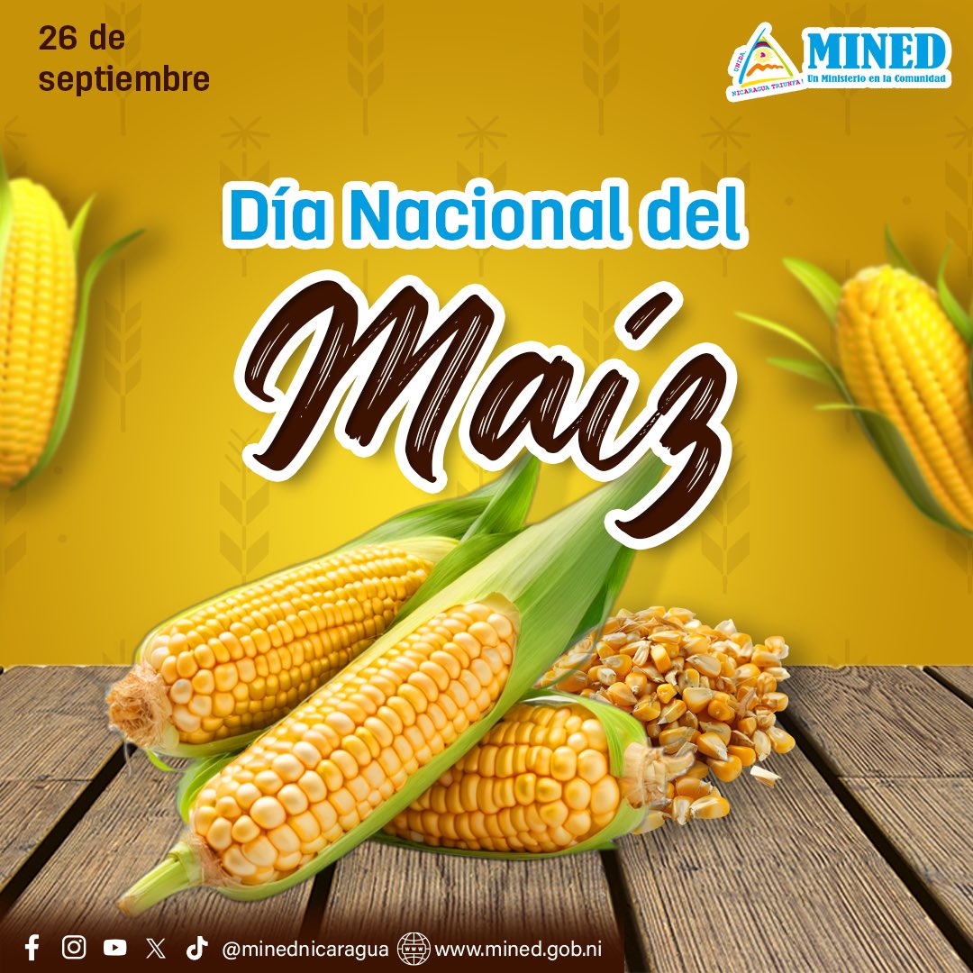 26 de septiembre | Día Nacional del Maíz 🌽 

El maíz🌽 en Nicaragua🇳🇮 constituye un importante medio de vida, tanto económico como social y cultural.