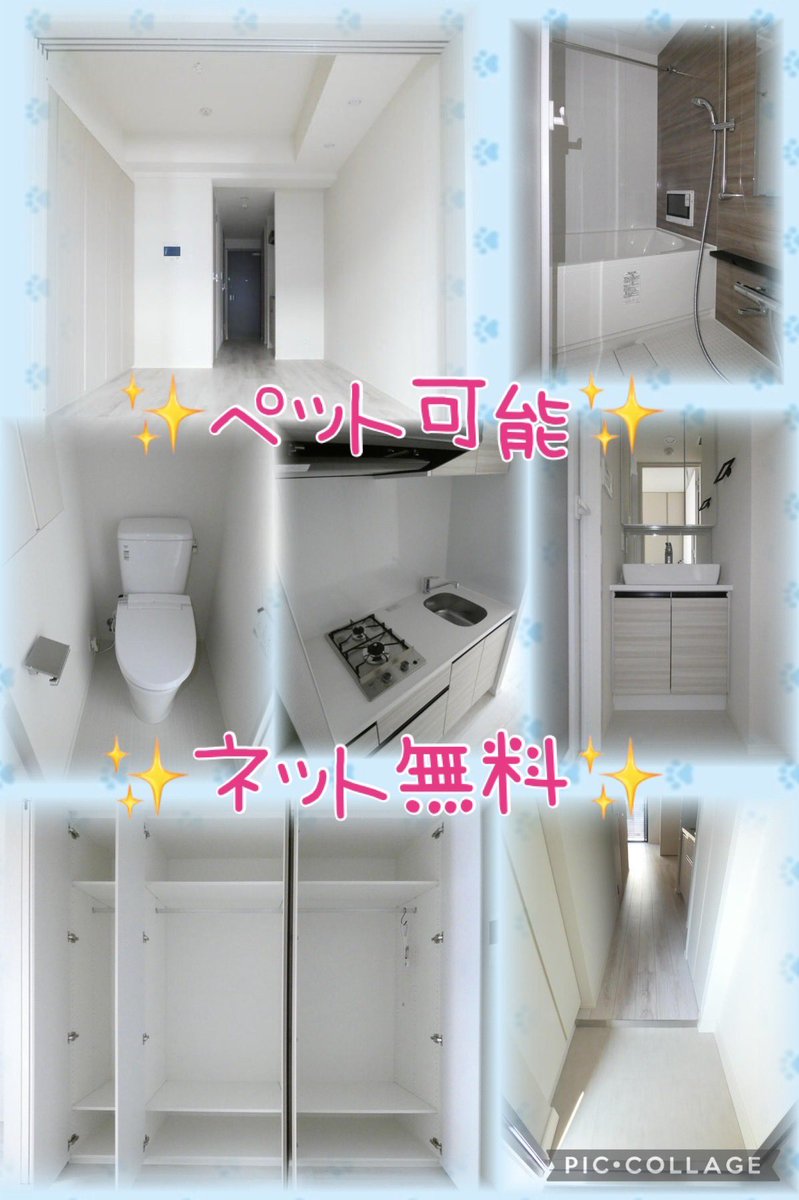 ii__ouchi__2's tweet photo. 大人気‼️麻布エリア✨
　　人気お得物件❗️

🐾麻布十番駅まで徒歩8分🚶‍♂️
🐾敷金なし✨
🐾築浅✨✨
🐾ペット可能🐶
🐾インターネット無料🆓

🍀物件詳細等、お気軽にお問合せください🍀

RT.いいね1000✖️1名様
締切9/28🐾 https://t.co/iK5fOYc4H8