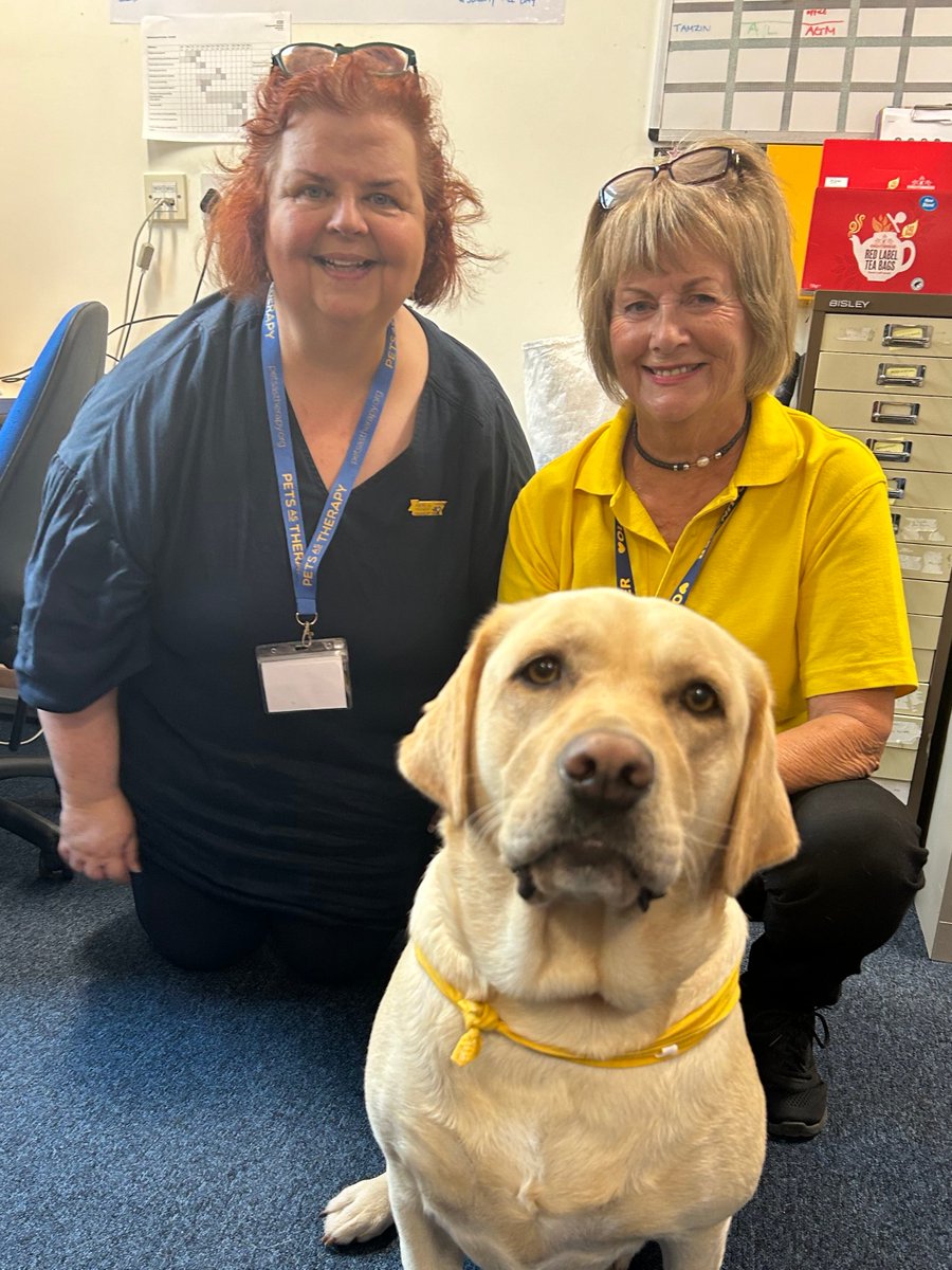 Last week Meg from <a href="/PetsAsTherapyUK/">Pets As Therapy</a> came to visit <a href="/PHU_NHS/">Portsmouth Hospitals University NHST</a> to discuss the great work our Volunteers and their Dogs do.

Meg was shown round the paediatrics ward and she said "I really enjoyed shadowing Sue and her dog Mabel, it is always lovely to see the difference it makes."