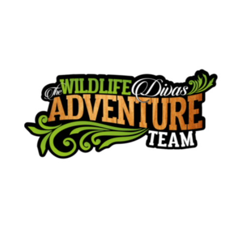 LisaMRandolph's tweet photo. { Presenting } The Wildlife Divas Adventure Team; Saving the Endangered Mountain Gorilla, a story of 5 orphaned girls of color, turned #wildlifeambassadors using STEAM skills to travel the world saving one species at a time. 1st stop #Africa. #STEAM #Wildlife #savinggorillas #UWA https://t.co/3RZmTGffya