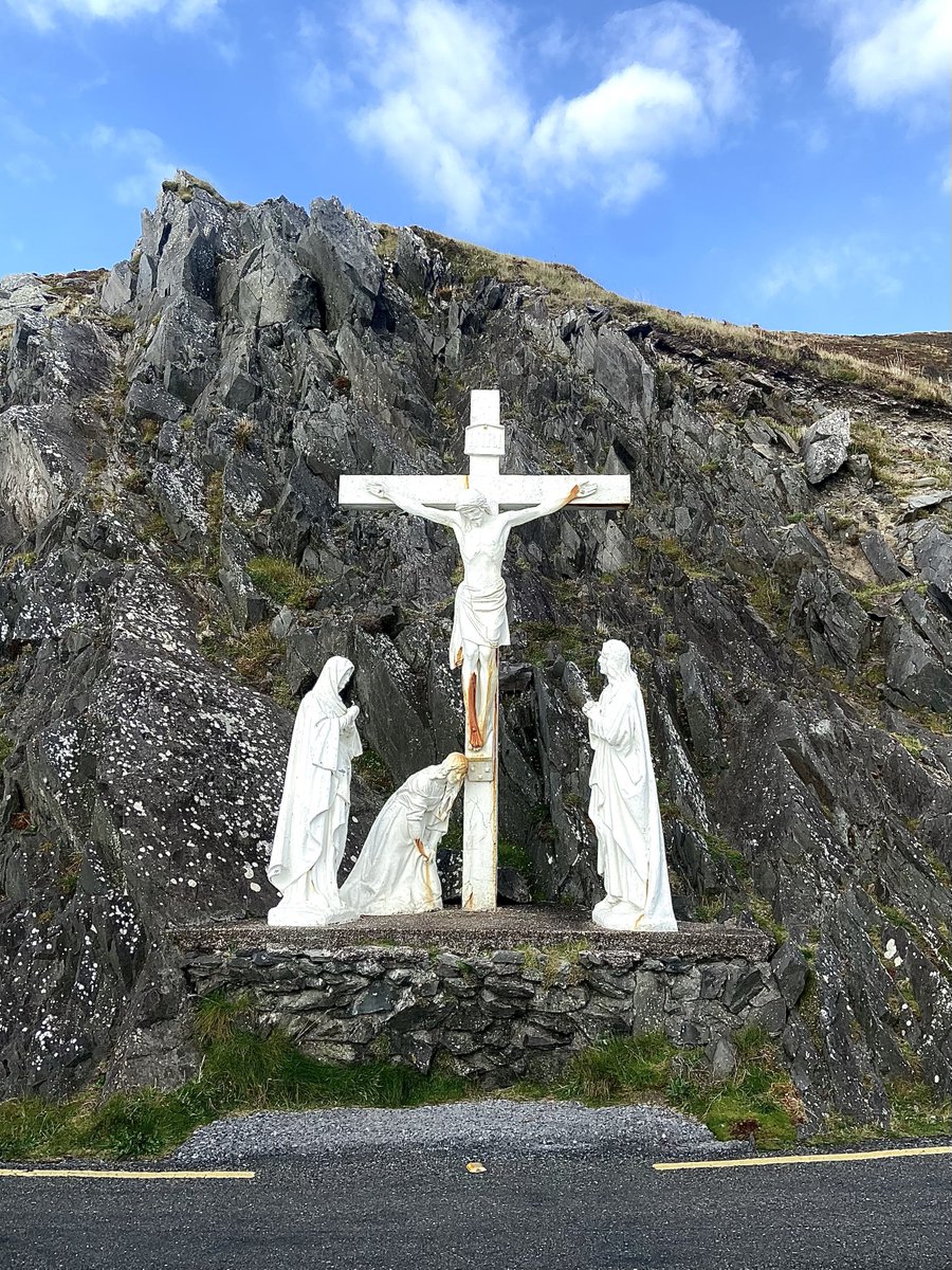 ghostmotorfingr's tweet image. i’m in ireland talking shite about you with the sheep btw. and they’re listening. and they’re agreeing