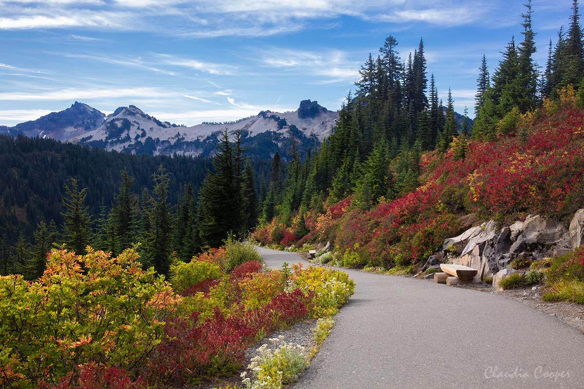 claud26point2's tweet photo. Fall color and Tatoosh mountain range at Mt Rainier NP #landscape #rainier@Interior #autumn #mountain #PNW #outdoors #hiking #fall #Washington https://t.co/bWDZyH3HT0