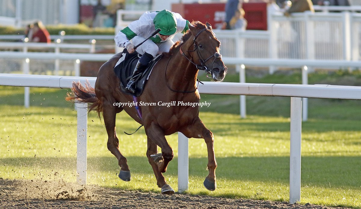 Steven Cargill (@steven_cargill) on Twitter photo 3rd win for 4yo g PFINGSTBERG (Protectionist) <a href="/CallumSheppy/">Callum Shepherd</a> in 16f handicap <a href="/ChelmsfordCRC/">Chelmsford City Racecourse</a> tonight for <a href="/SimcockRacing/">David Simcock Racing</a> 3rd win for 4yo g PFINGSTBERG (Protectionist) <a href="/CallumSheppy/">Callum Shepherd</a> in 16f handicap <a href="/ChelmsfordCRC/">Chelmsford City Racecourse</a> tonight for <a href="/SimcockRacing/">David Simcock Racing</a>