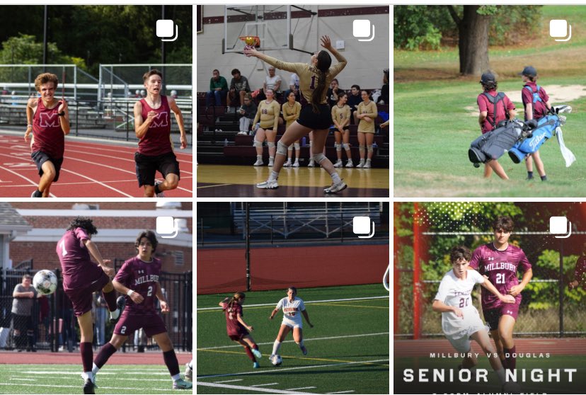 Woolie News tweet media