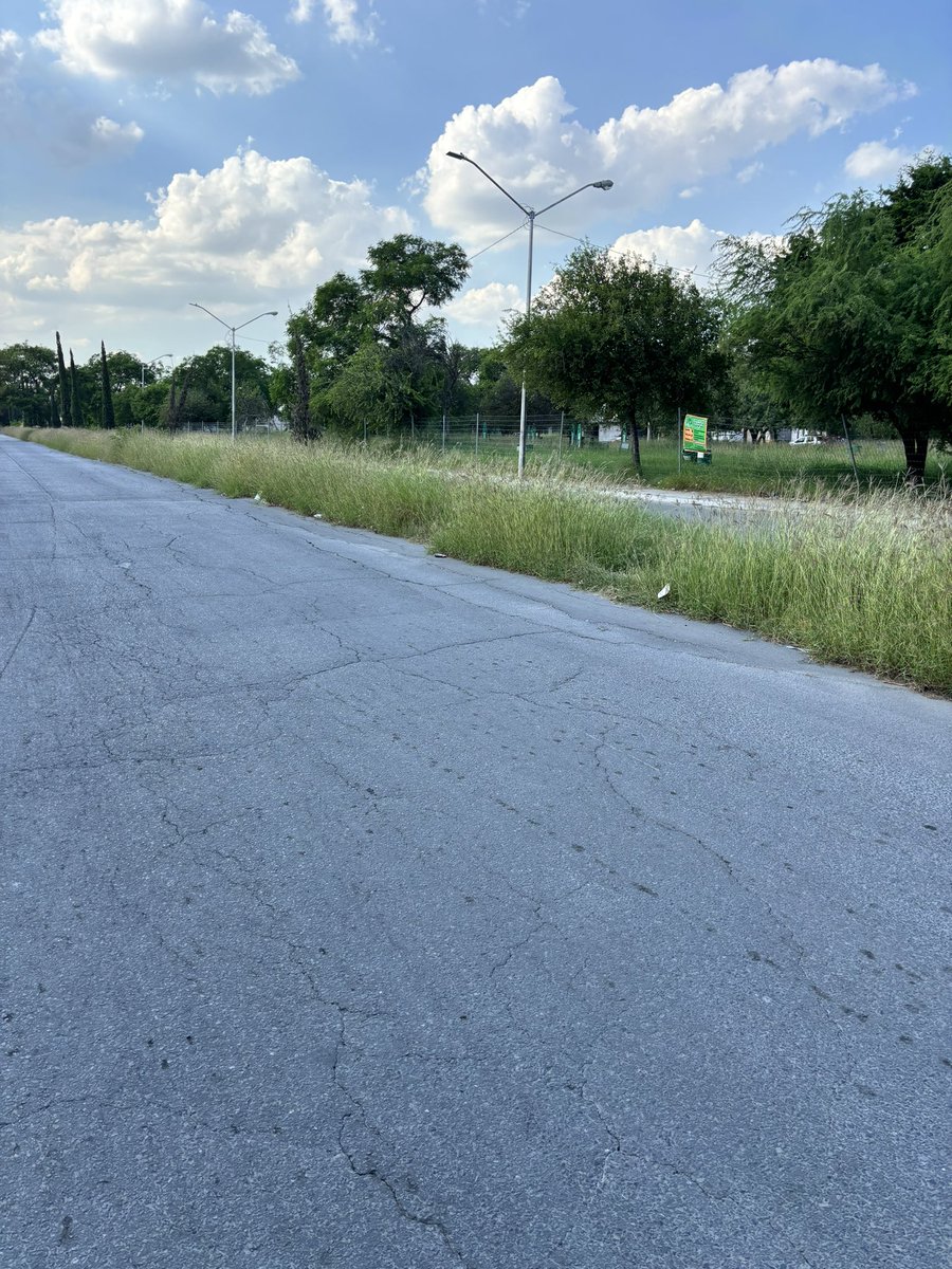 karen_af_'s tweet photo. @municipiodegpe padrísimas las condiciones de los parques de dos Ríos 
Sin luz y con la hierba que no te deja ver nada 👍🏻🦟 https://t.co/qtah5MXzDz