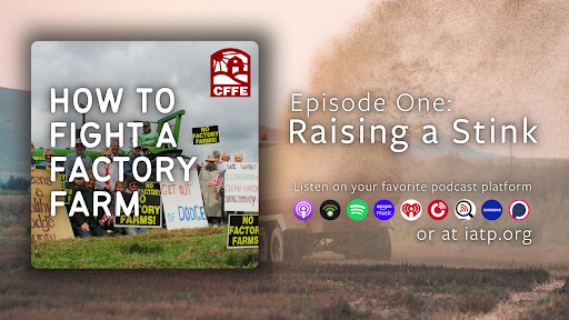 Iowa CCI tweet media