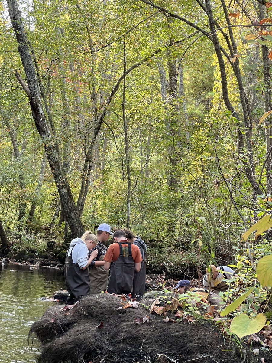 H2O_Soni's tweet image. Thursday #fieldfun w/ my watershed #hydrology &amp;amp; Mgt class. Students are learning to kick dance &amp;amp; sample benthic macroinvertebrates to assess water quality in Wood River. @universityofri @URI_GEO @uricels #WPWA