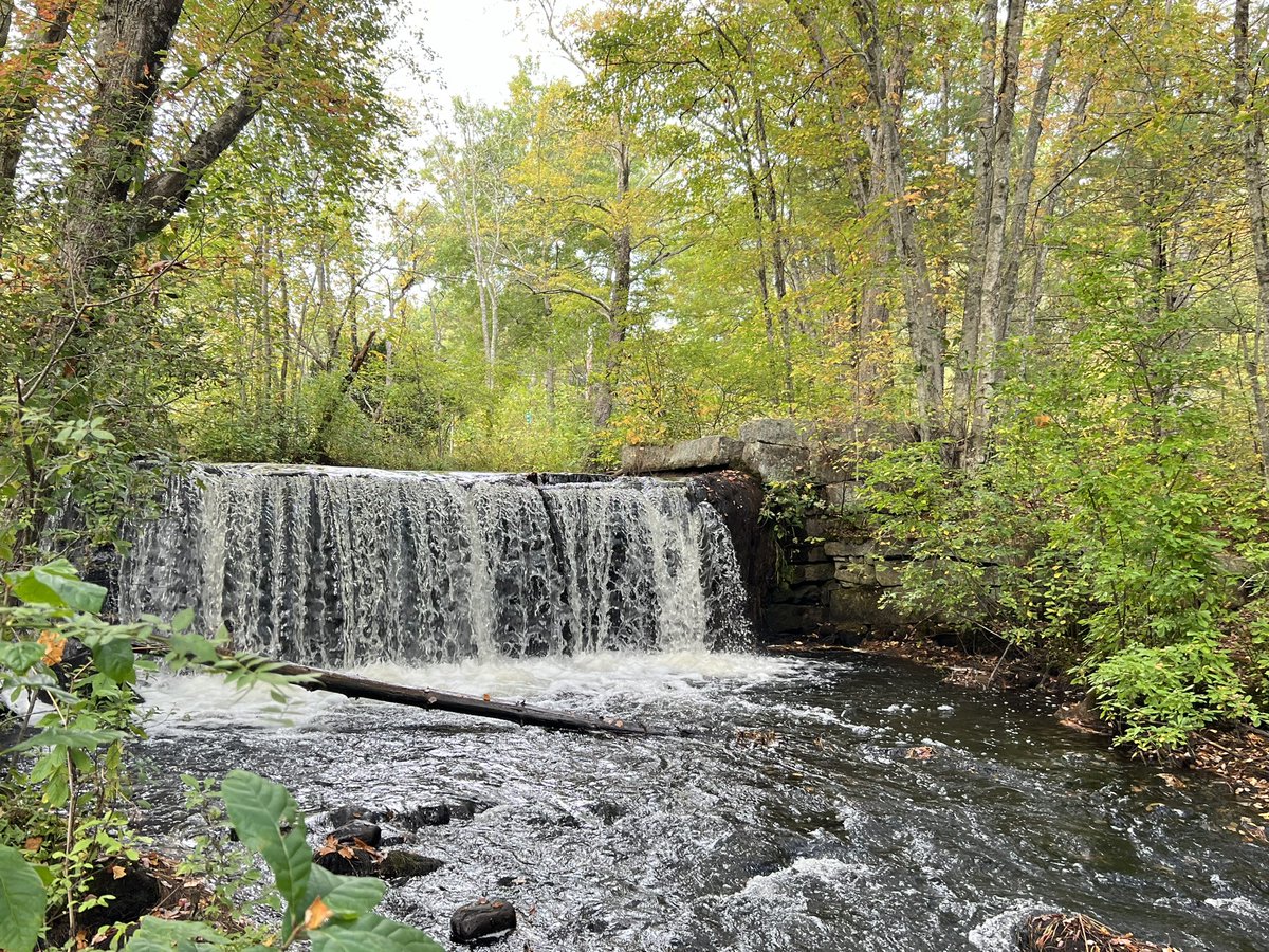 H2O_Soni's tweet image. Thursday #fieldfun w/ my watershed #hydrology &amp;amp; Mgt class. Students are learning to kick dance &amp;amp; sample benthic macroinvertebrates to assess water quality in Wood River. @universityofri @URI_GEO @uricels #WPWA
