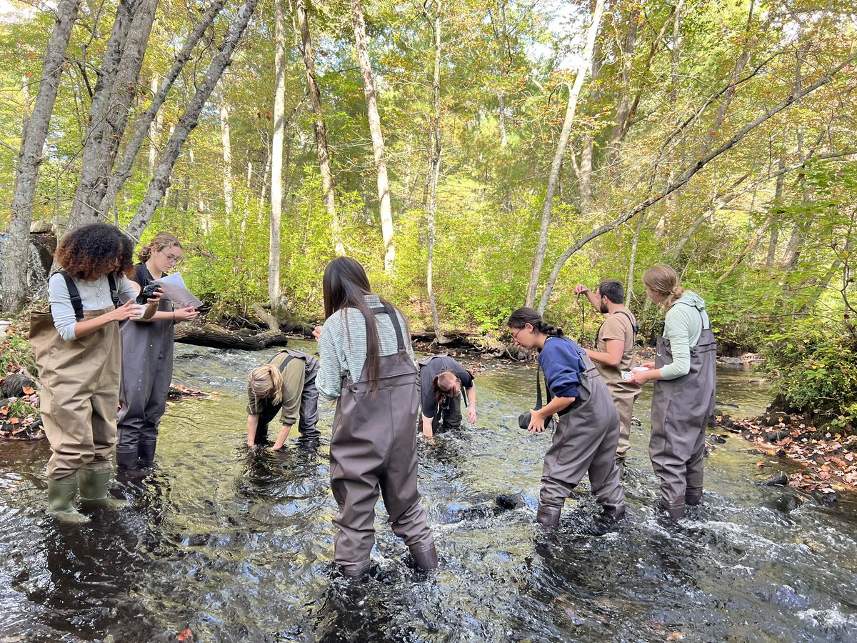 H2O_Soni's tweet image. Thursday #fieldfun w/ my watershed #hydrology &amp;amp; Mgt class. Students are learning to kick dance &amp;amp; sample benthic macroinvertebrates to assess water quality in Wood River. @universityofri @URI_GEO @uricels #WPWA