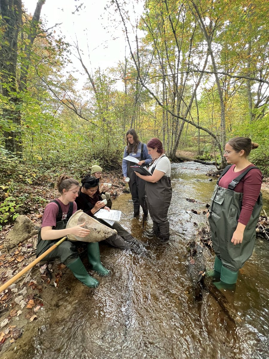 H2O_Soni's tweet image. Thursday #fieldfun w/ my watershed #hydrology &amp;amp; Mgt class. Students are learning to kick dance &amp;amp; sample benthic macroinvertebrates to assess water quality in Wood River. @universityofri @URI_GEO @uricels #WPWA
