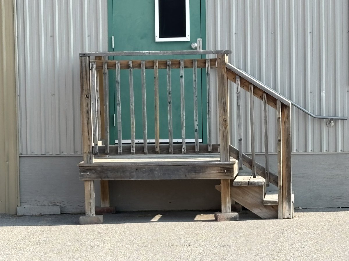 Rhiannon McIntosh tweet media