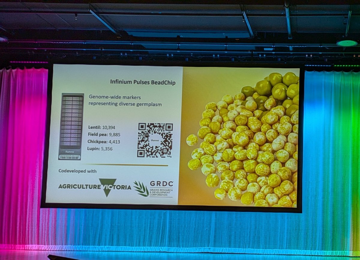 Kerrie Forrest tweet media