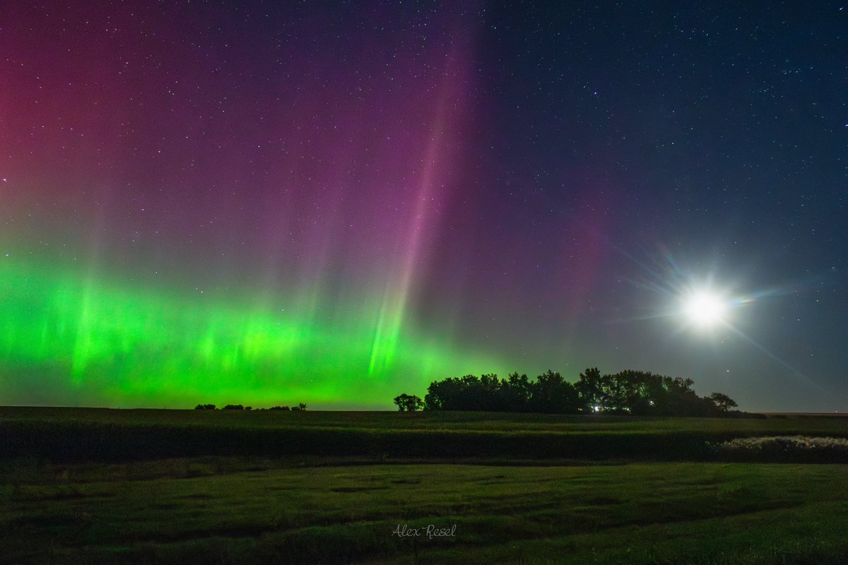 Alex Resel 📸 tweet media