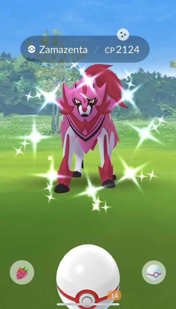 liftingandzombs's tweet image. Retweet this for Shiny Zamazenta Luck! ✨ #PokemonGO