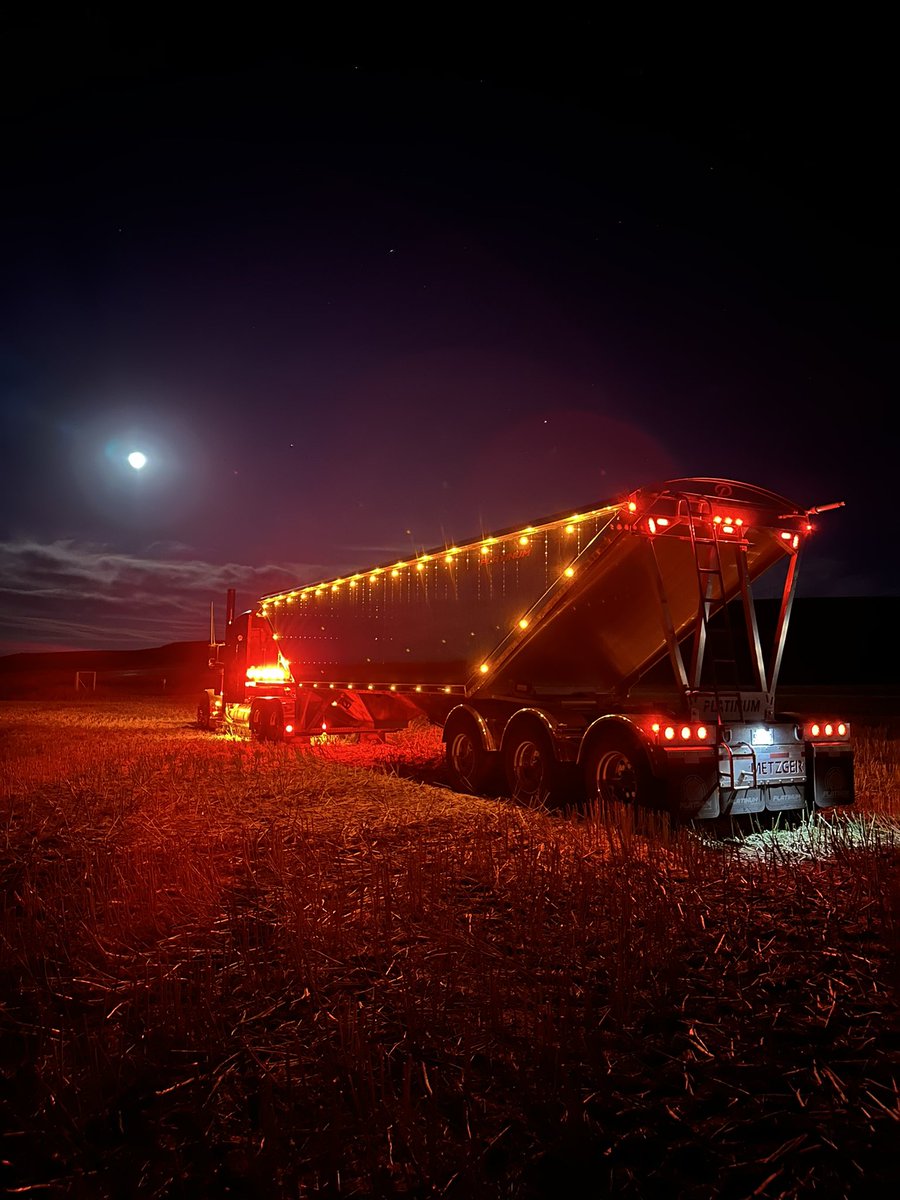 This is special. #platinum #polished #lit