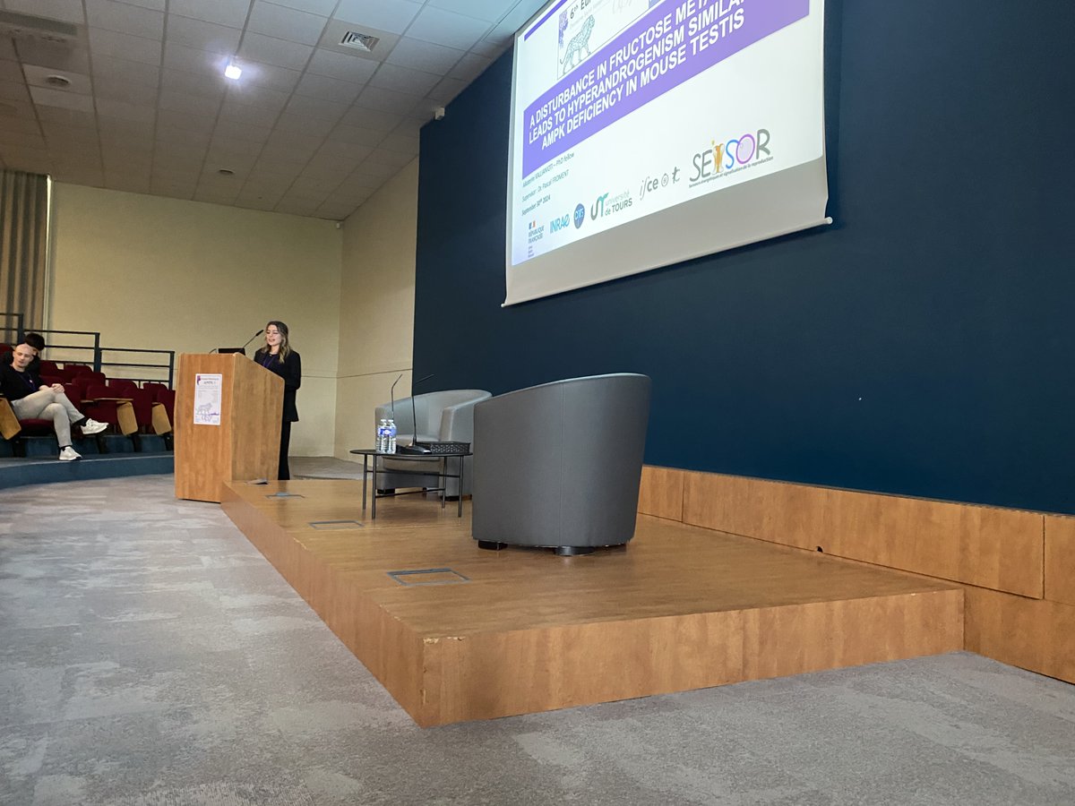 Sensor Team tweet media