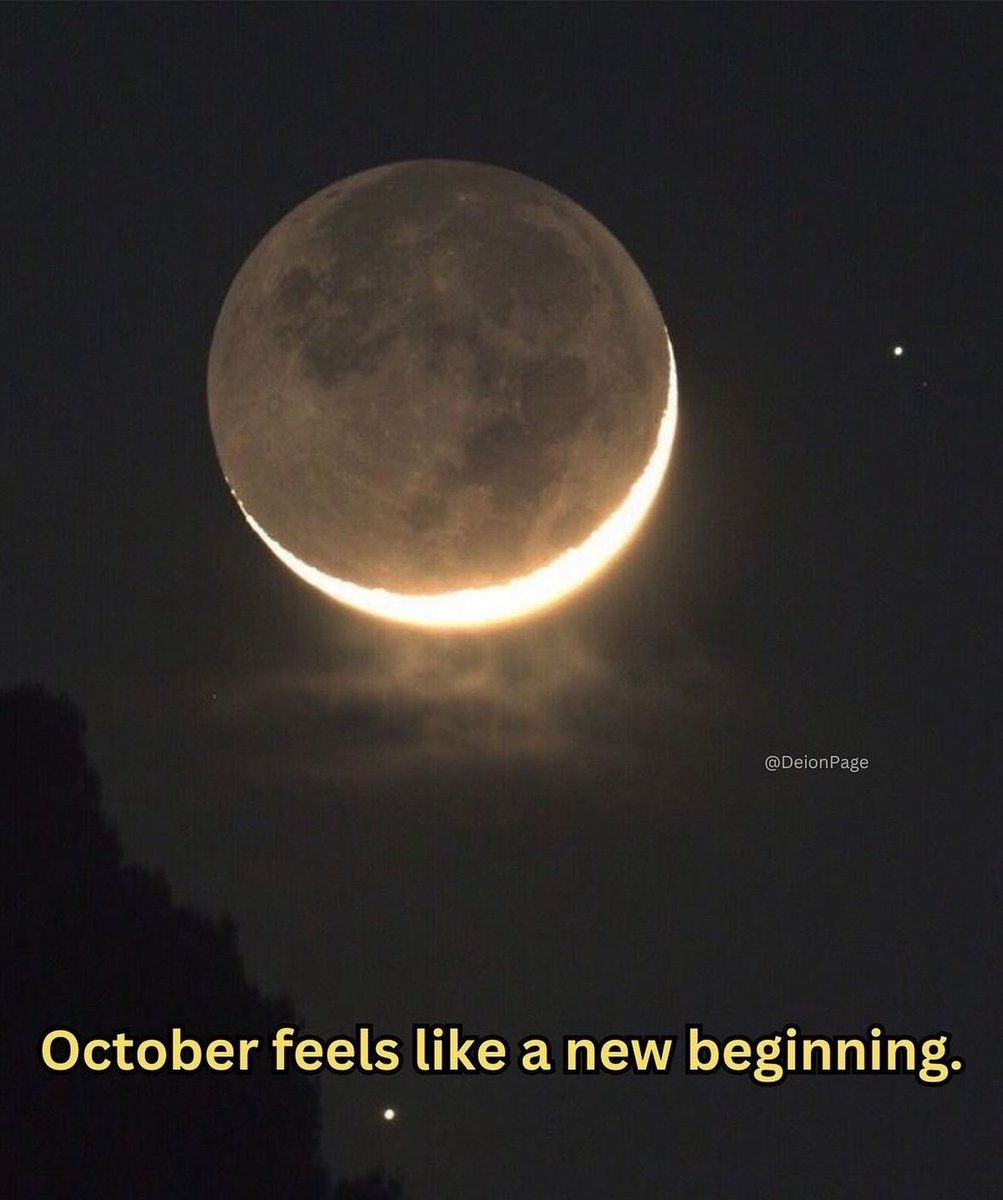 nottthesun's tweet photo. someone sent me my Oct horoscope recently. it said a lot about new beginnings &amp; big changes &amp; I thought there's not much I would change about my life rn. but then I started digging in deeper w/ my therapist, booking appts I've been putting off, feeling renewed. so ig it was right https://t.co/he8ctjwttU