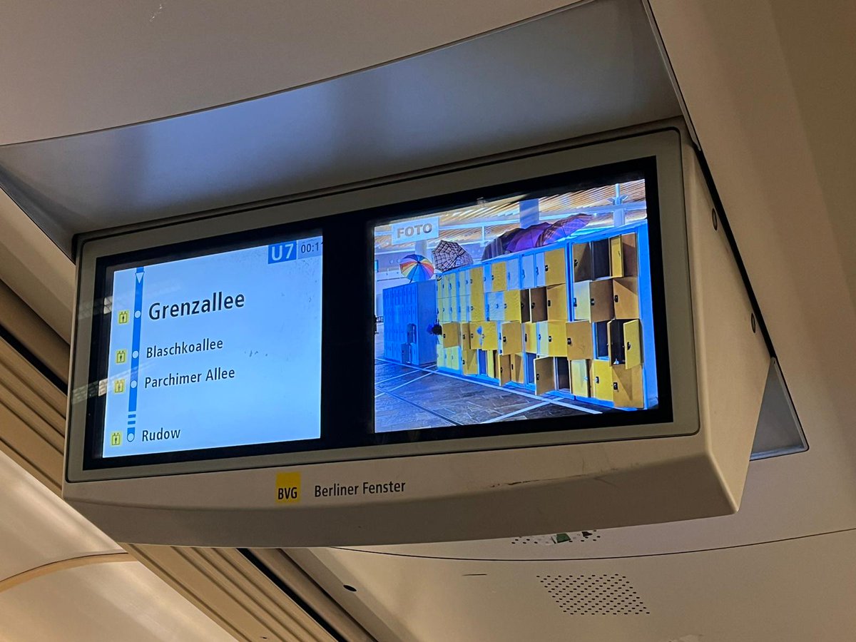 SophiaKochalski tweet media