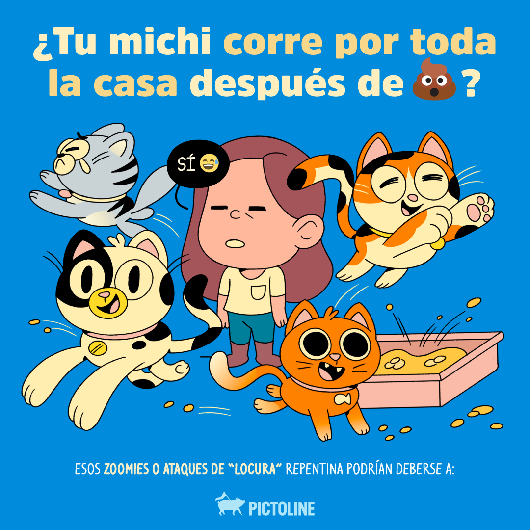 pictoline tweet media