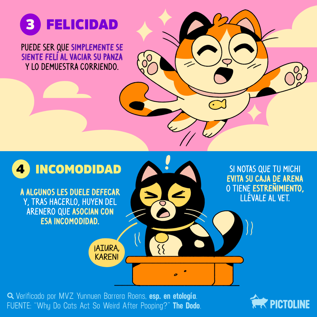 pictoline tweet media