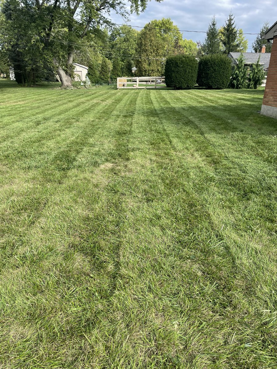 Mike Freshwater tweet media