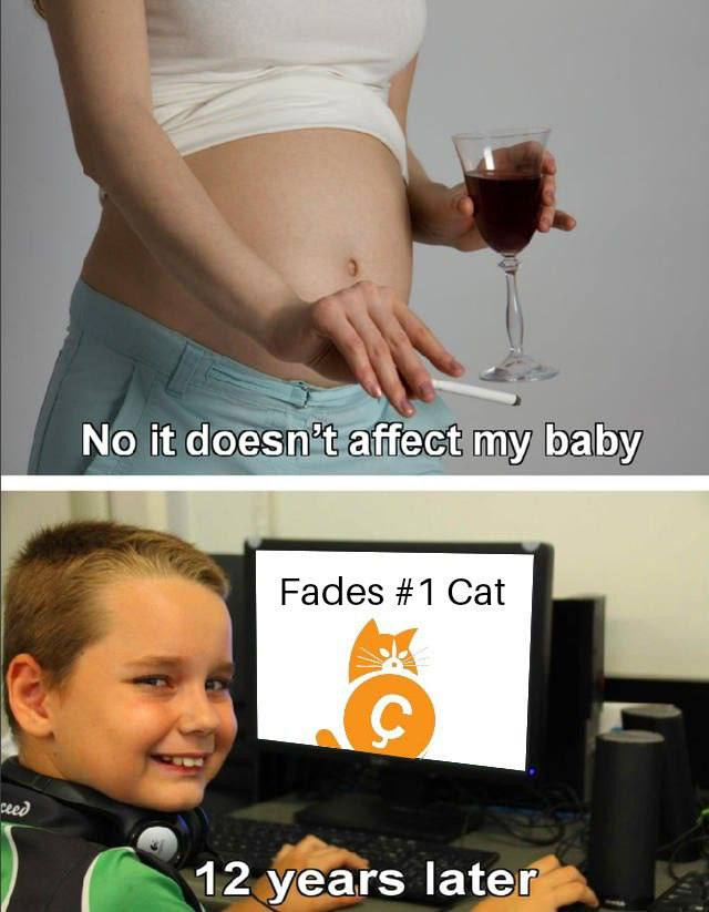 Catcoin_CTO's tweet photo. People fading #catcoin don't understand the lore yet 

few will know

This cat is primed for mars #satoshi planned it https://t.co/67mU9o7FSS
