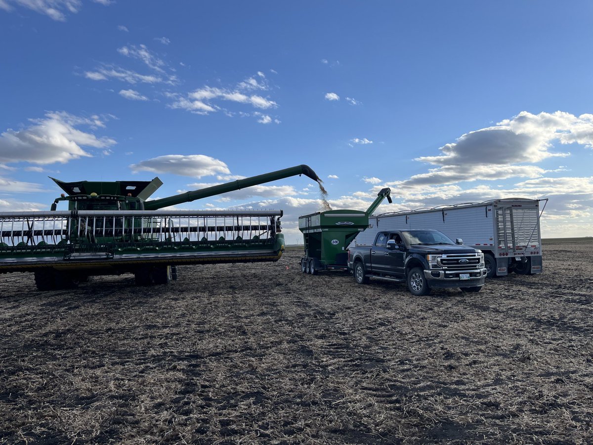 Much nicer day doing soybean trials yesterday.  No wind! ⁦Beans done, next up 🌽. #harvest2024