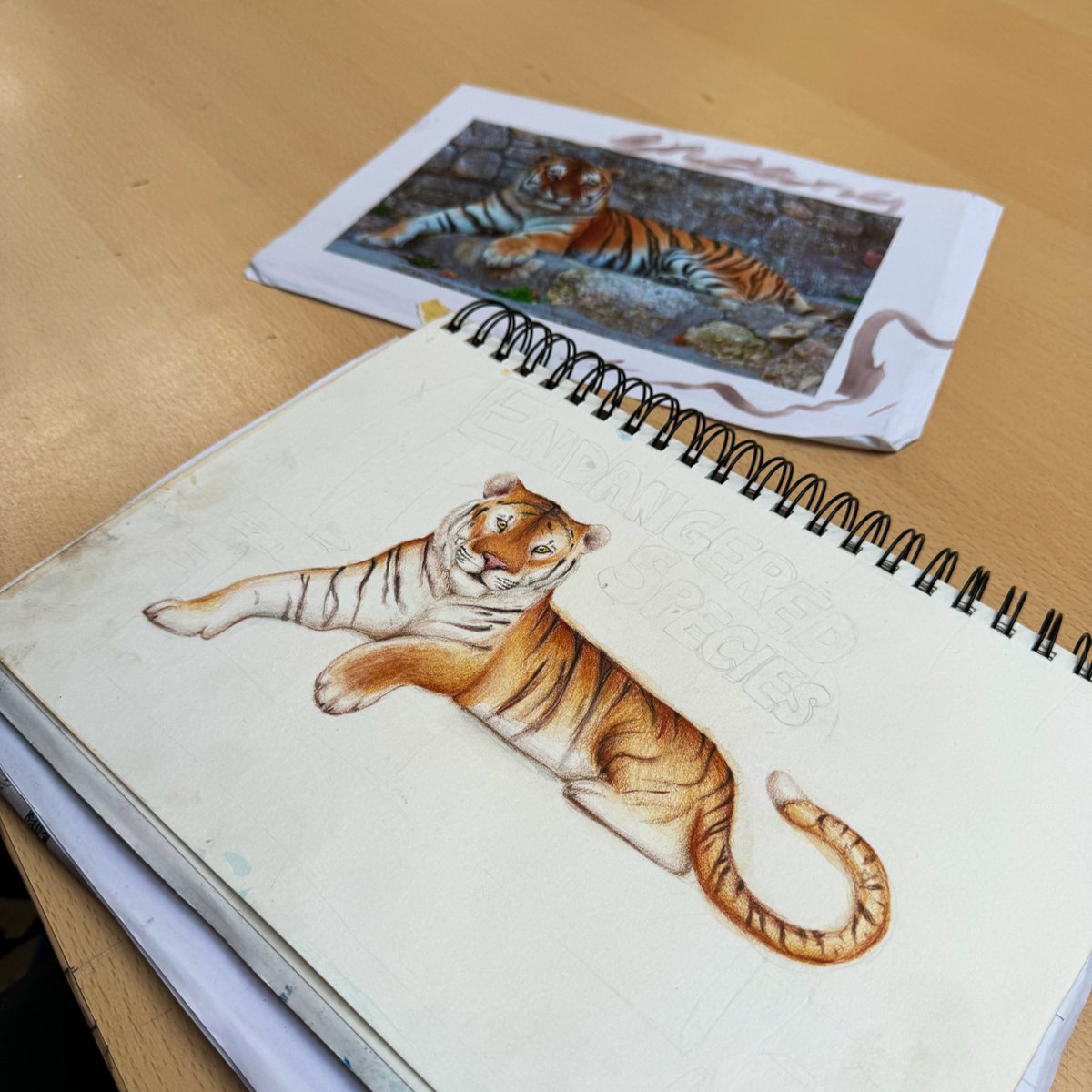 ArtSnows's tweet photo. Check out this tiger by Ema! https://t.co/OfAT8BtMDr