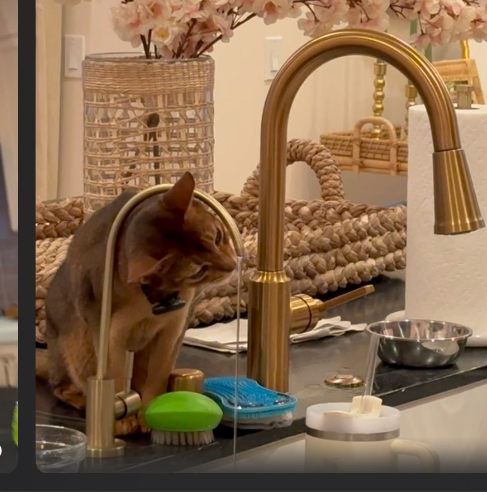 Ron Howard tweet media