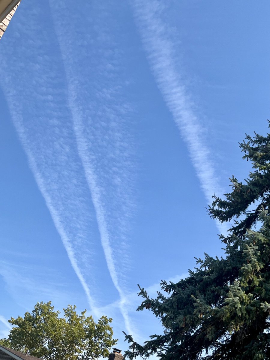 444Cin444's tweet photo. Michigan =hidious state #notpuremichigan @GovWhitmer stop 🛑 poisoning us!!!!!!!!! https://t.co/Lomgn67PYG