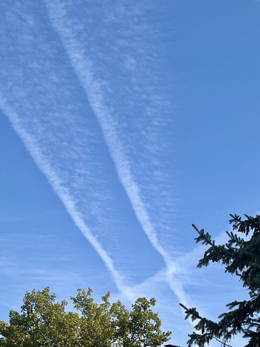 444Cin444's tweet photo. Michigan =hidious state #notpuremichigan @GovWhitmer stop 🛑 poisoning us!!!!!!!!! https://t.co/Lomgn67PYG