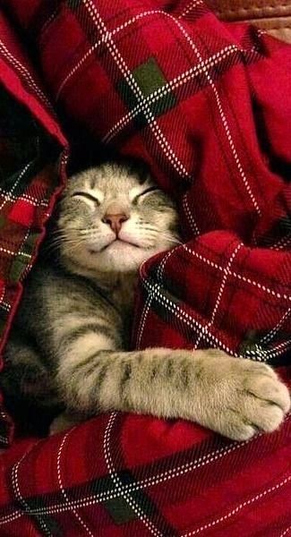 Sleep well 😴