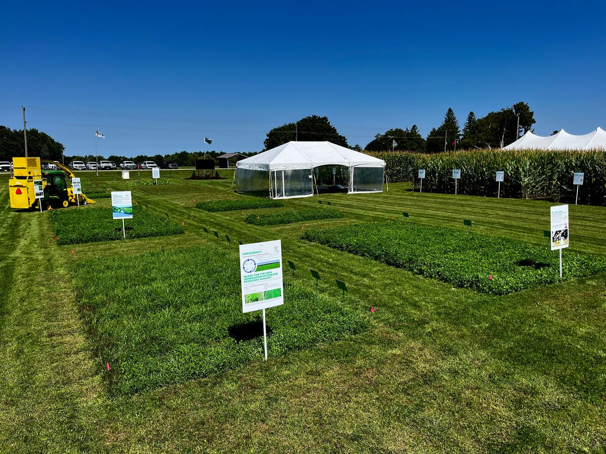 Discovery Farm tweet media