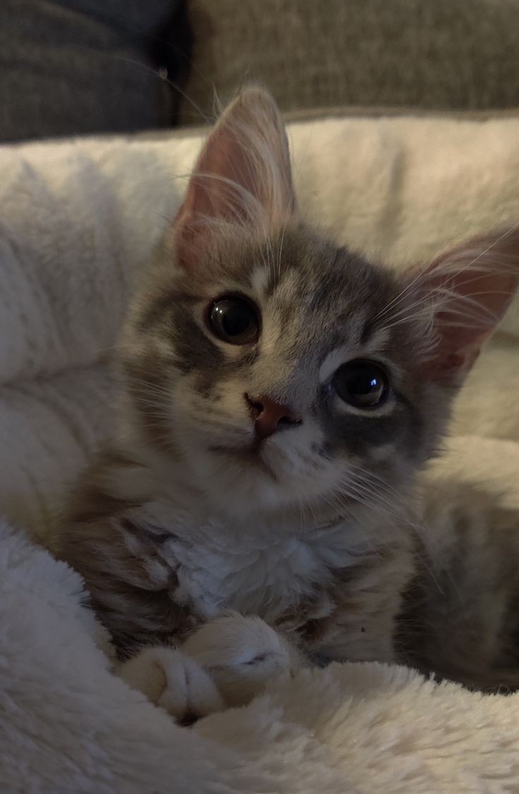 mingi thinker ♡ (@mingkisarchive) on Twitter photo 