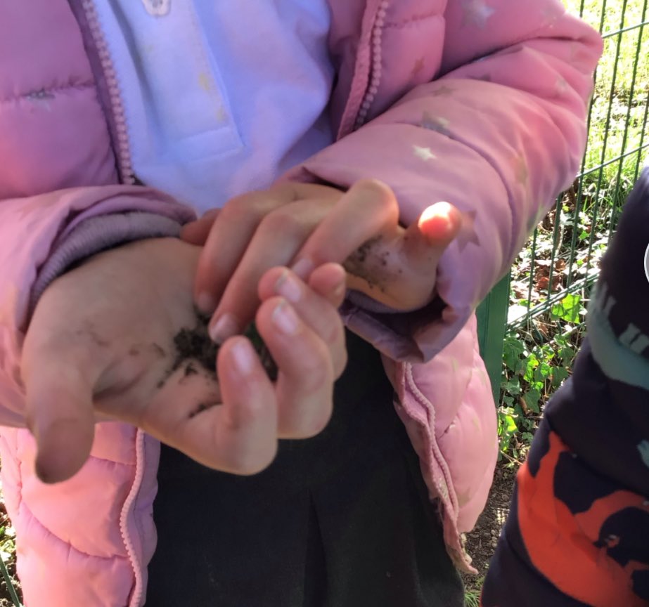 St Asaph VP Infants 💚 tweet media