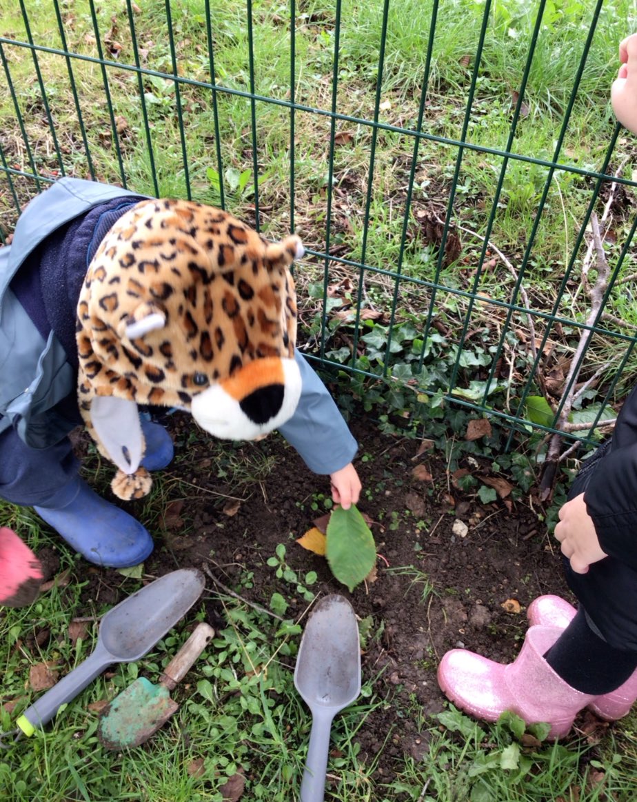 St Asaph VP Infants 💚 tweet media