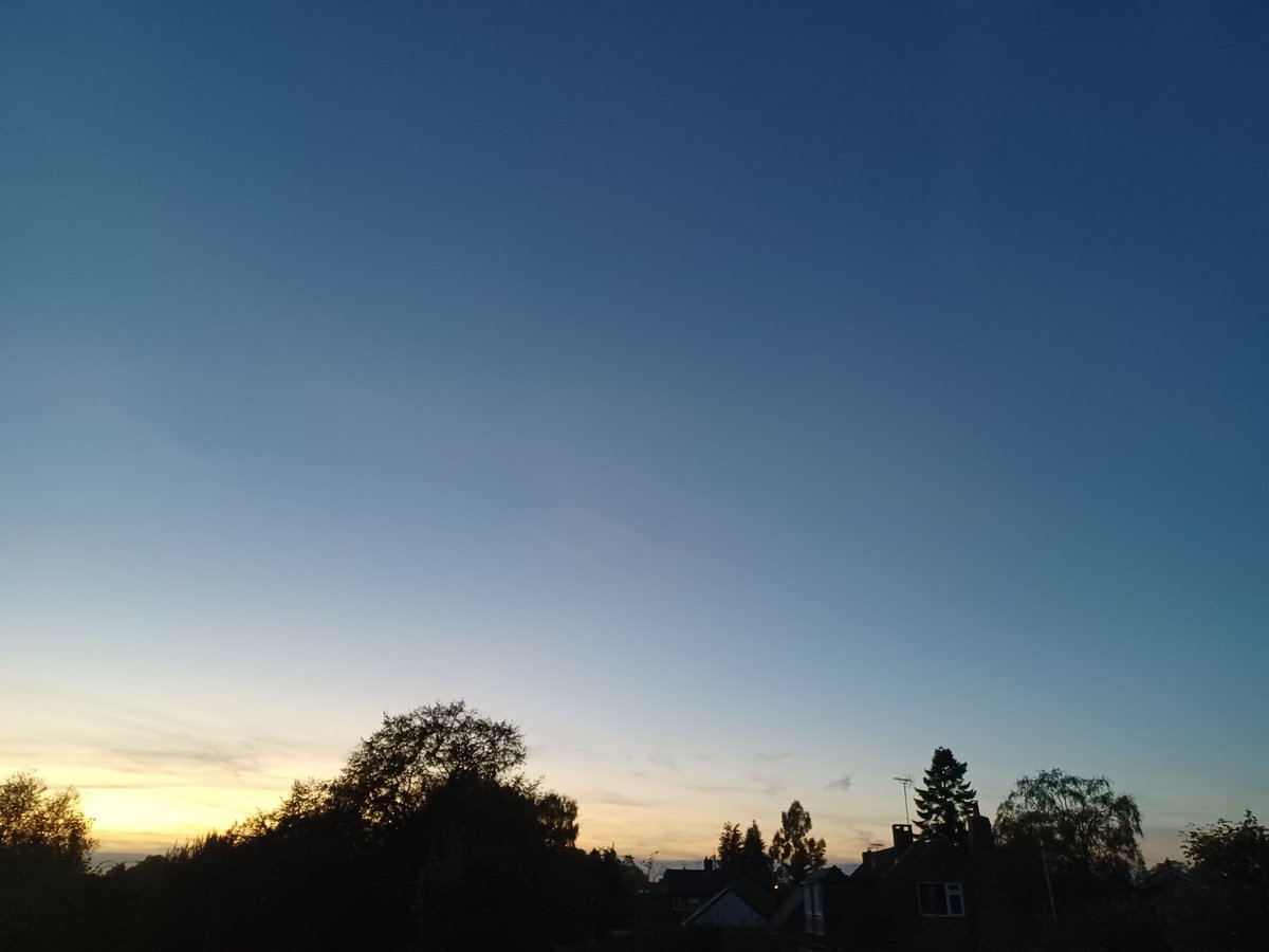 Good evening, happy Thursday,  how's it going? Photos taken just now, looking good! 😁