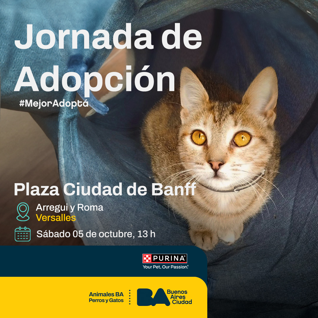 Animales BA tweet media